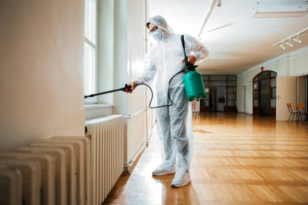 Pest Control Cost in Lake Of The Woods, AZ